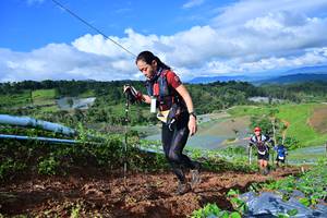 BIB: 
                            <button type="button" onclick="openModal(13380775)" class="btn btn-primary btn-sm float-right btn-popup" data-toggle="modal" data-target=".modal-high-quality">
                        <i class="fas fa-shopping-cart"></i> Add to Cart
                    </button>
                                            <button type="button" onclick="isThisMe(13380775, true)" class="btn btn-success btn-sm float-right btn-popup btn-isme hidden" data-toggle="tooltip" data-placement="bottom" title="นี่คือรูปของคุณใช่ไหม คลิกที่นี่เพื่อเอาเข้าอัลบั้ม">
                        <i class="fas fa-plus"></i> Add to album
                    </button>
                    <button type="button" onclick="isThisMe(13380775, false)" class="btn btn-warning btn-sm float-right btn-popup btn-isnotme hidden">
                        <i class="fas fa-ban"></i> Remove from album
                    </button>